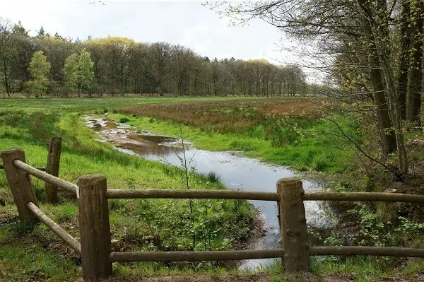 Foto: www.dehoevens.nl