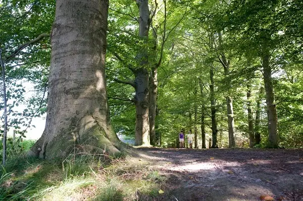 Foto: www.dehoevens.nl