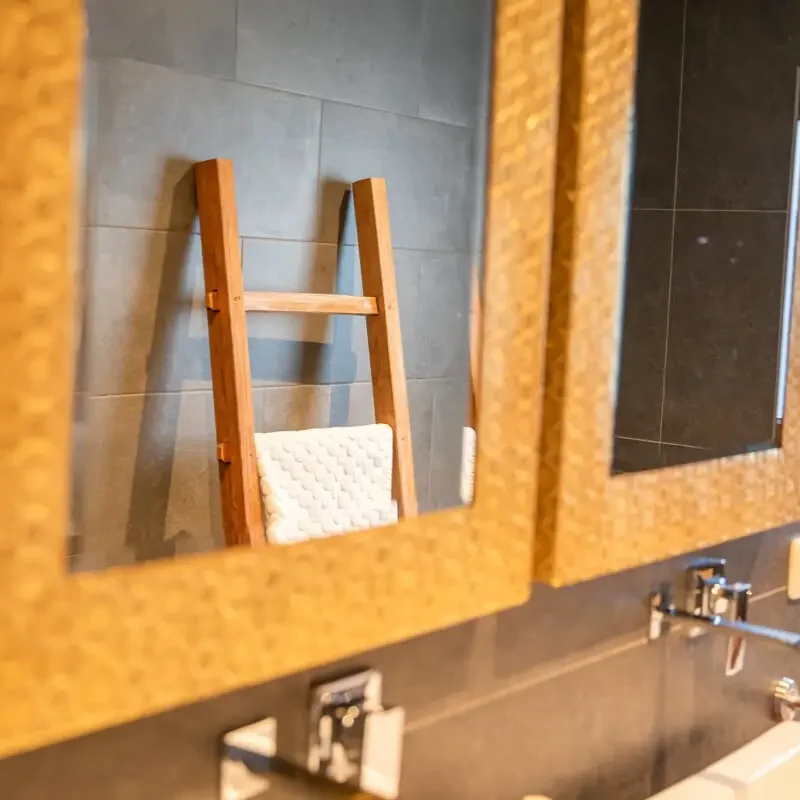 Villa d'oro Droomeind vakantiewoningen en paardenhotel alphen noord brabant 23
