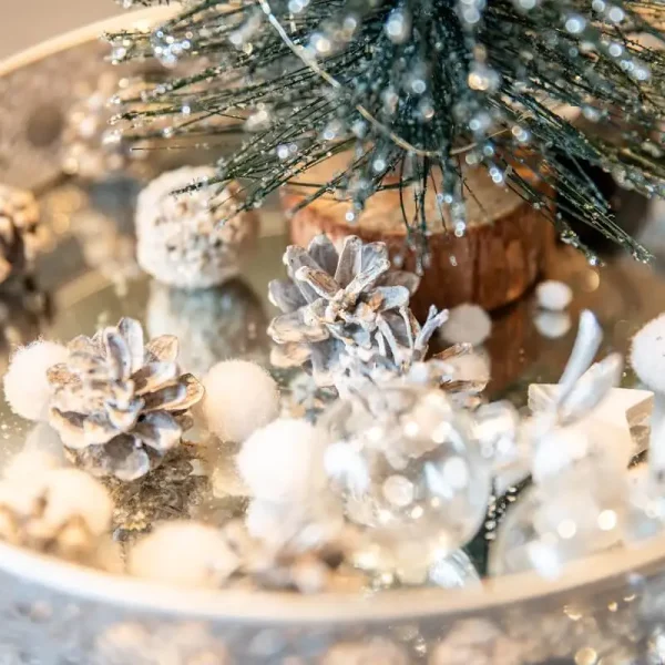 kerst villa d'argento vakantiewoning alphen noord brabant 11