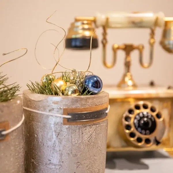 kerst villa d'oro vakantiewoning alphen noord brabant 14