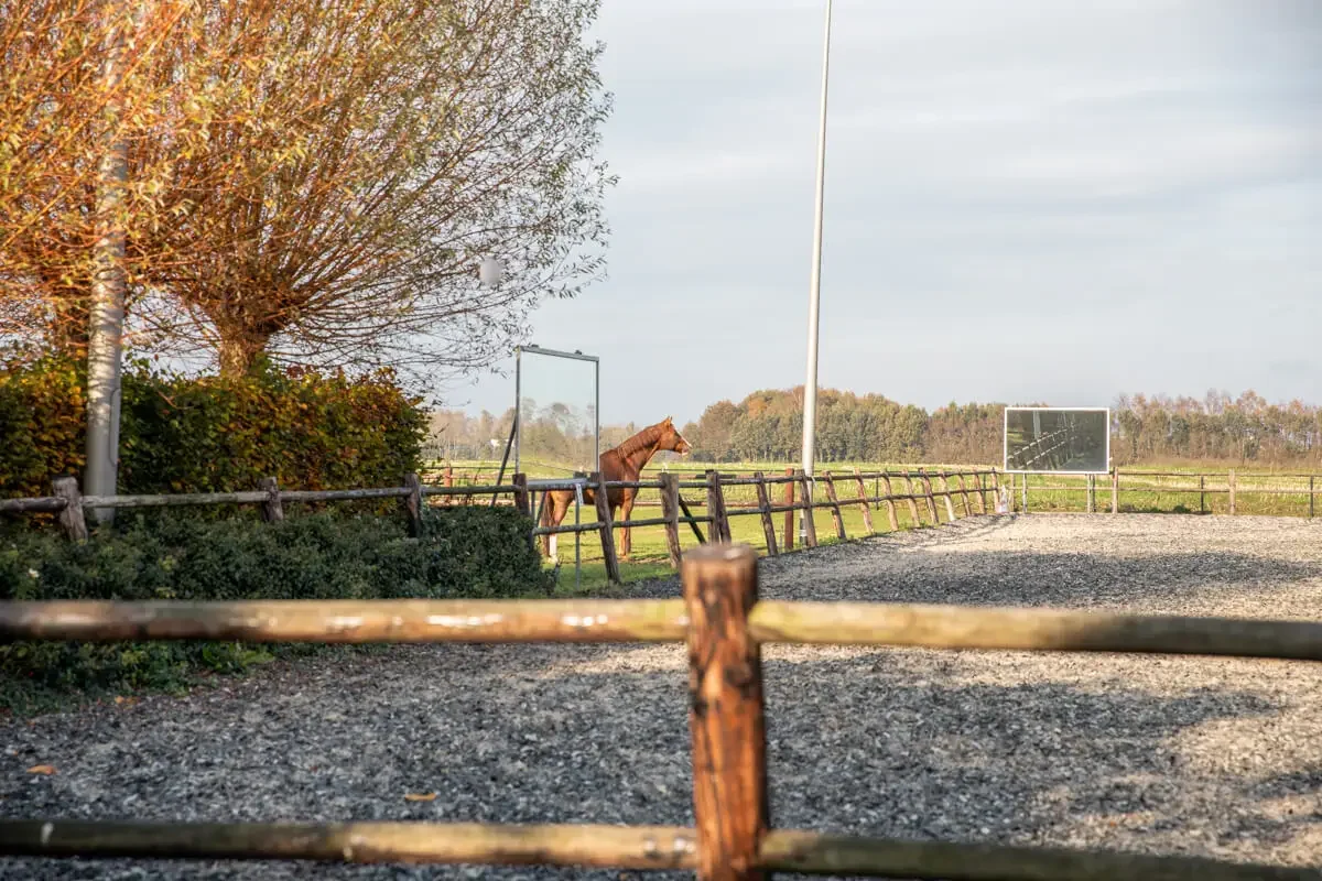 paardenhotel op vakantie met paard brabant alphen 2