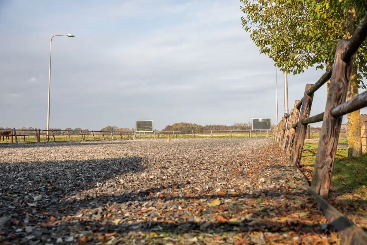 paardenhotel op vakantie met paard brabant alphen 3