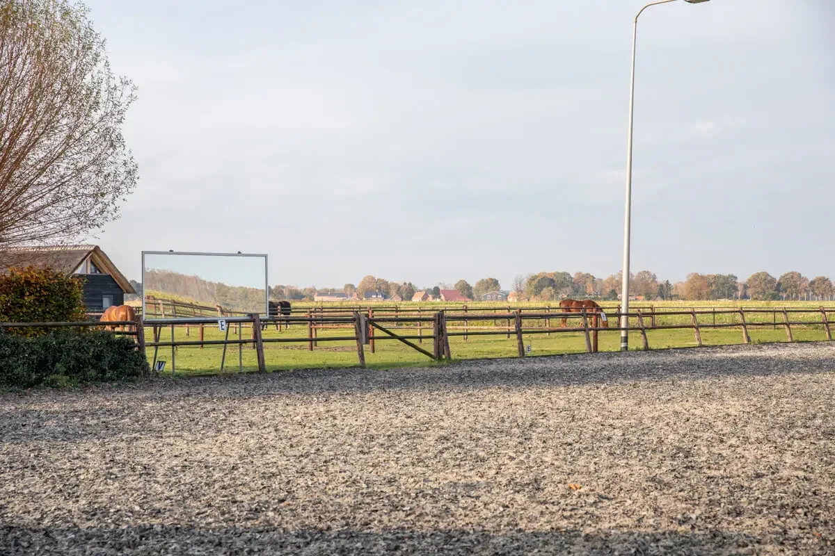 paardenhotel op vakantie met paard brabant alphen 4