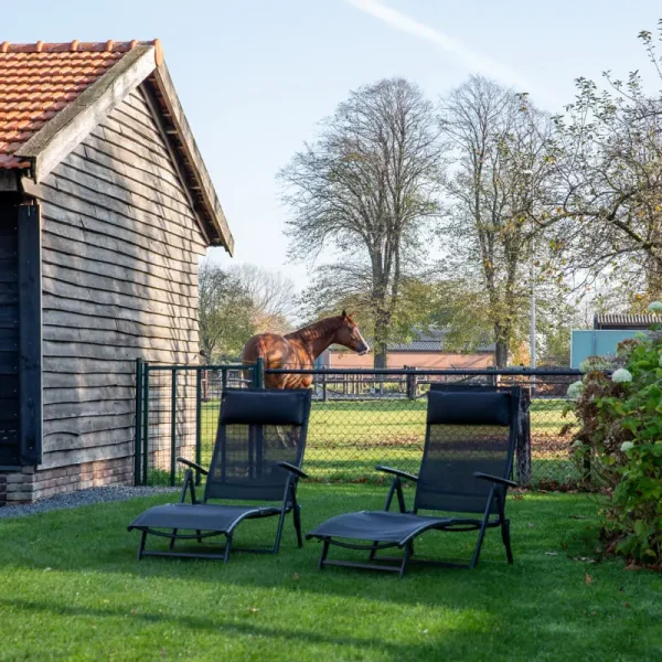 vakantiewoning met paardenhotel alphen brabant villa Bianco 3