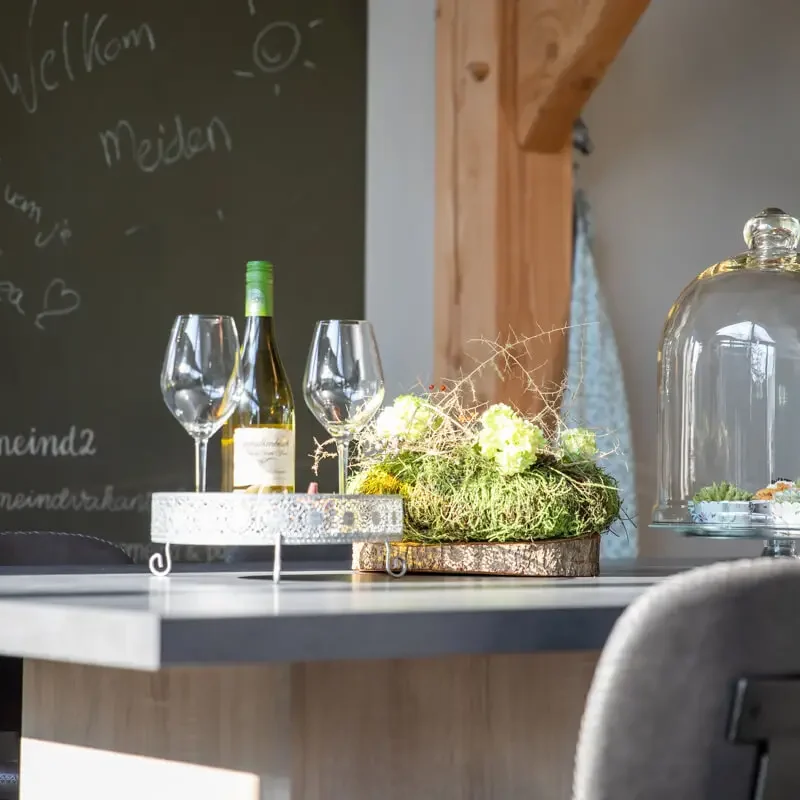 vakantiewoning met paardenhotel alphen brabant villa D'argento37